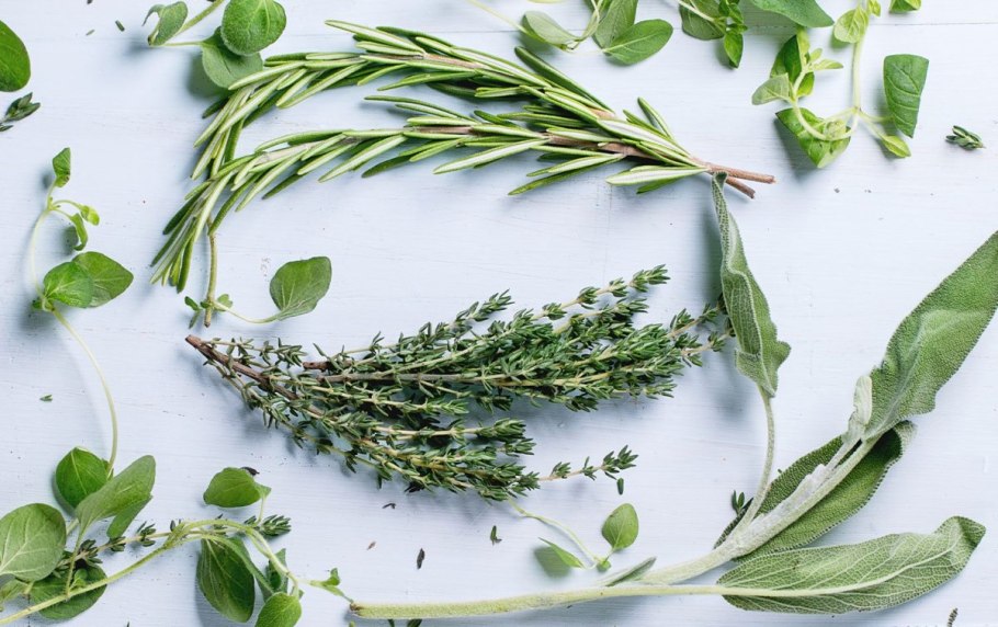 Розмарин тимьян и шалфей