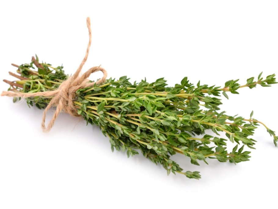 Тимьян и орегано