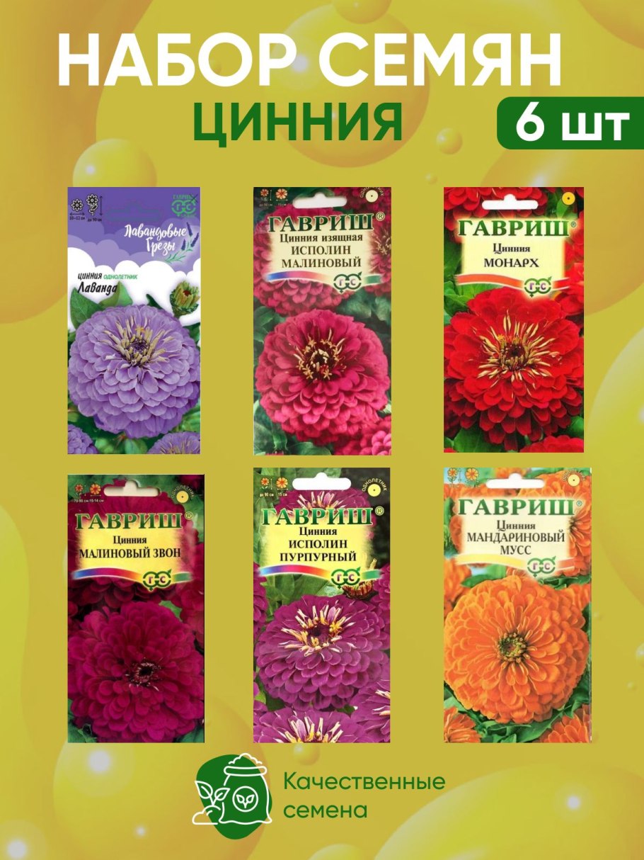 Георгина Мисс Скарлет
