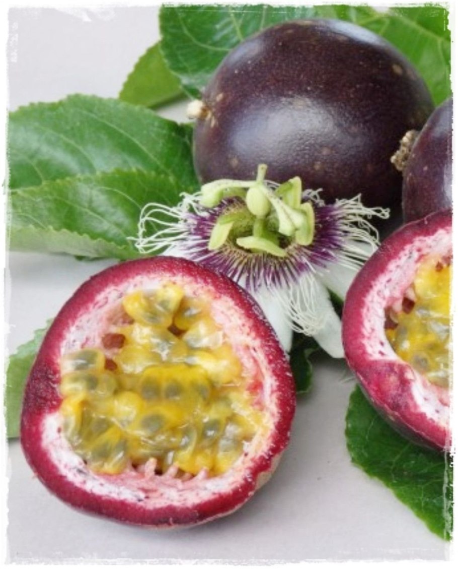 Маракуйя пассифлора