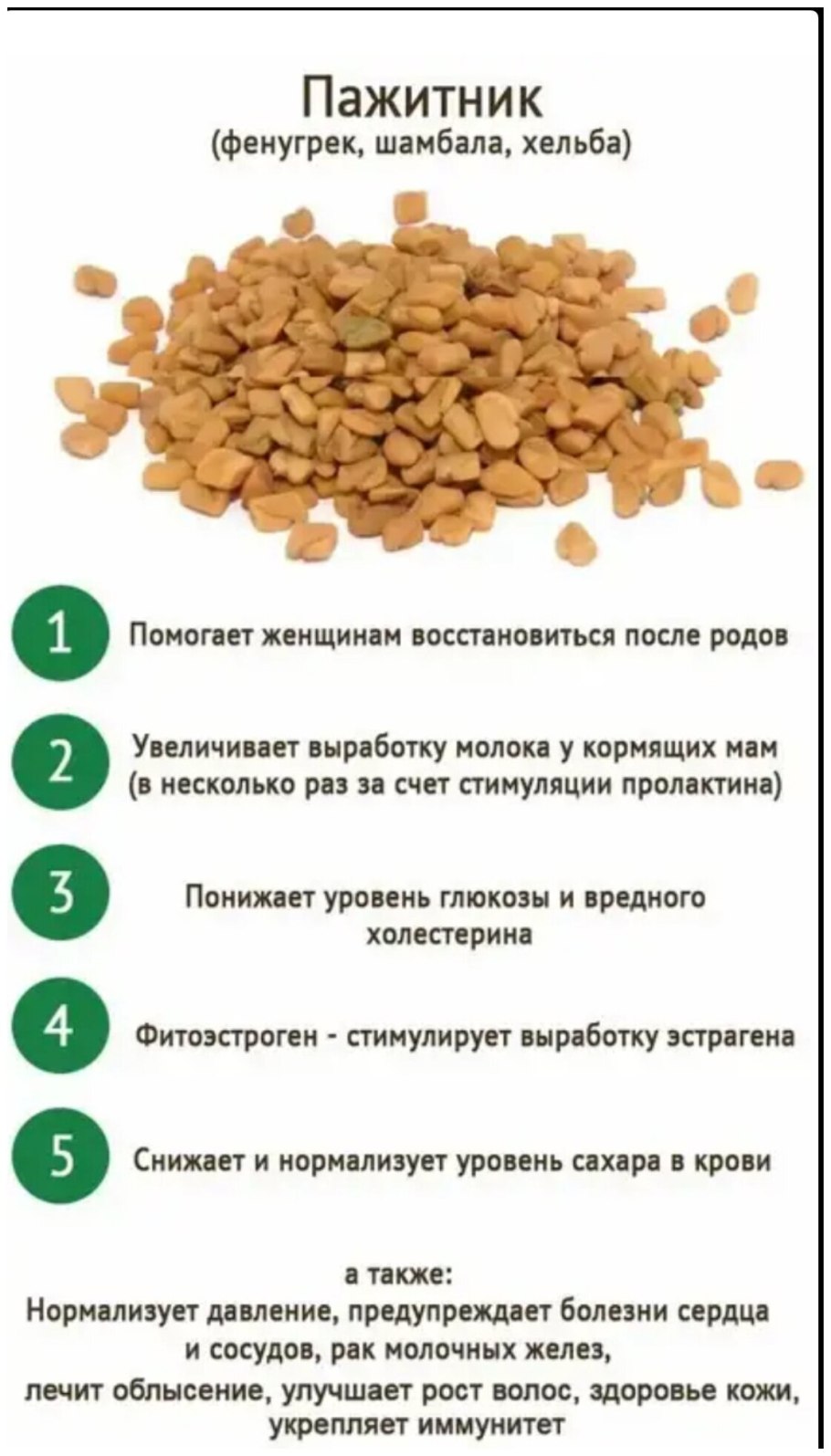 Трава голубой пажитник