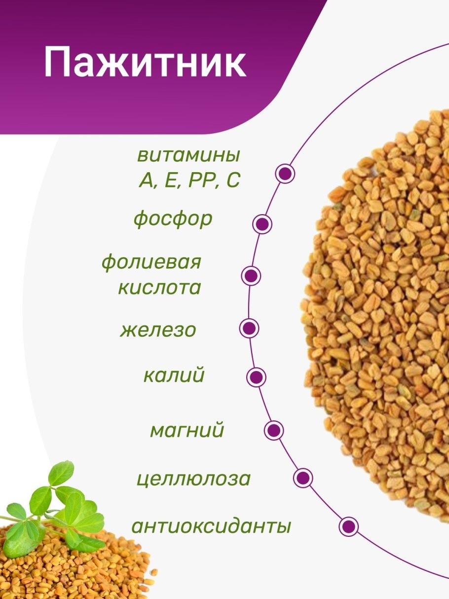 Пажитник Сенной