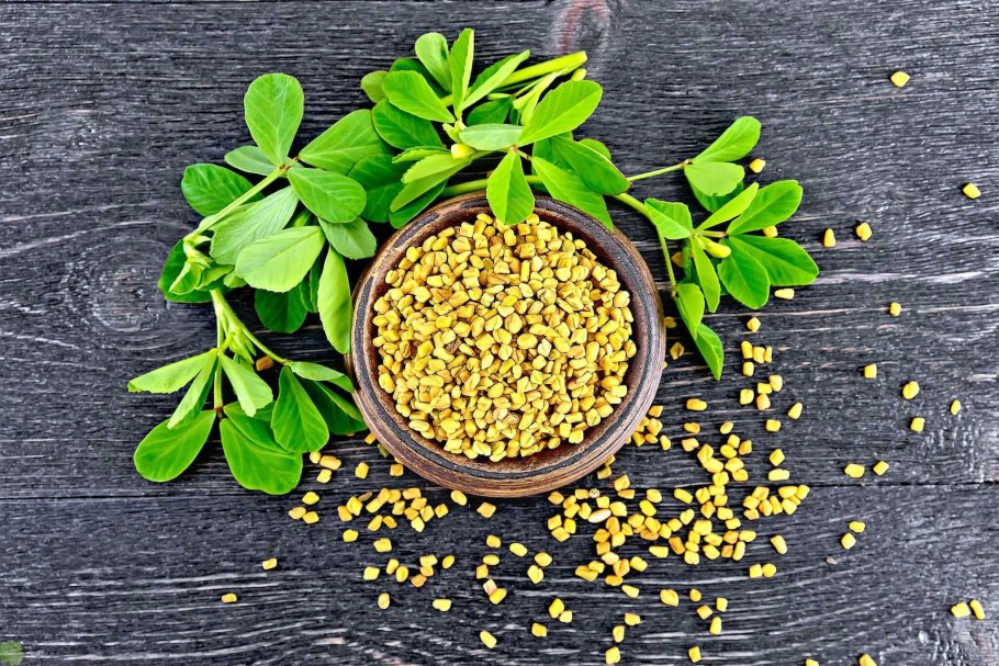 Трава пажитник Сенной