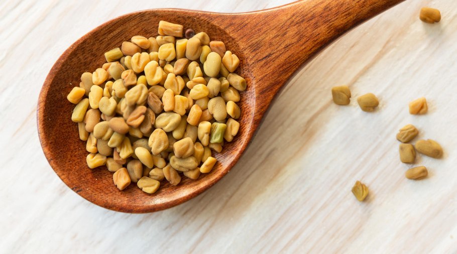 Пажитник греческий