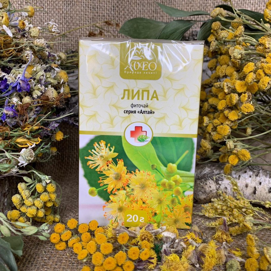 Цветы липы на белом фоне