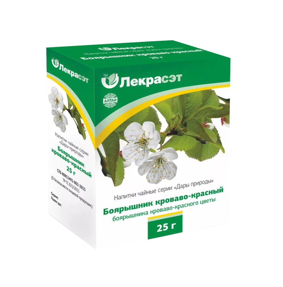 Цветы липы рисунок