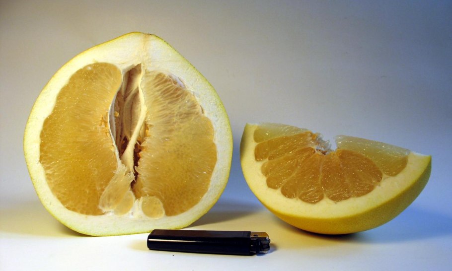 Фракт помело