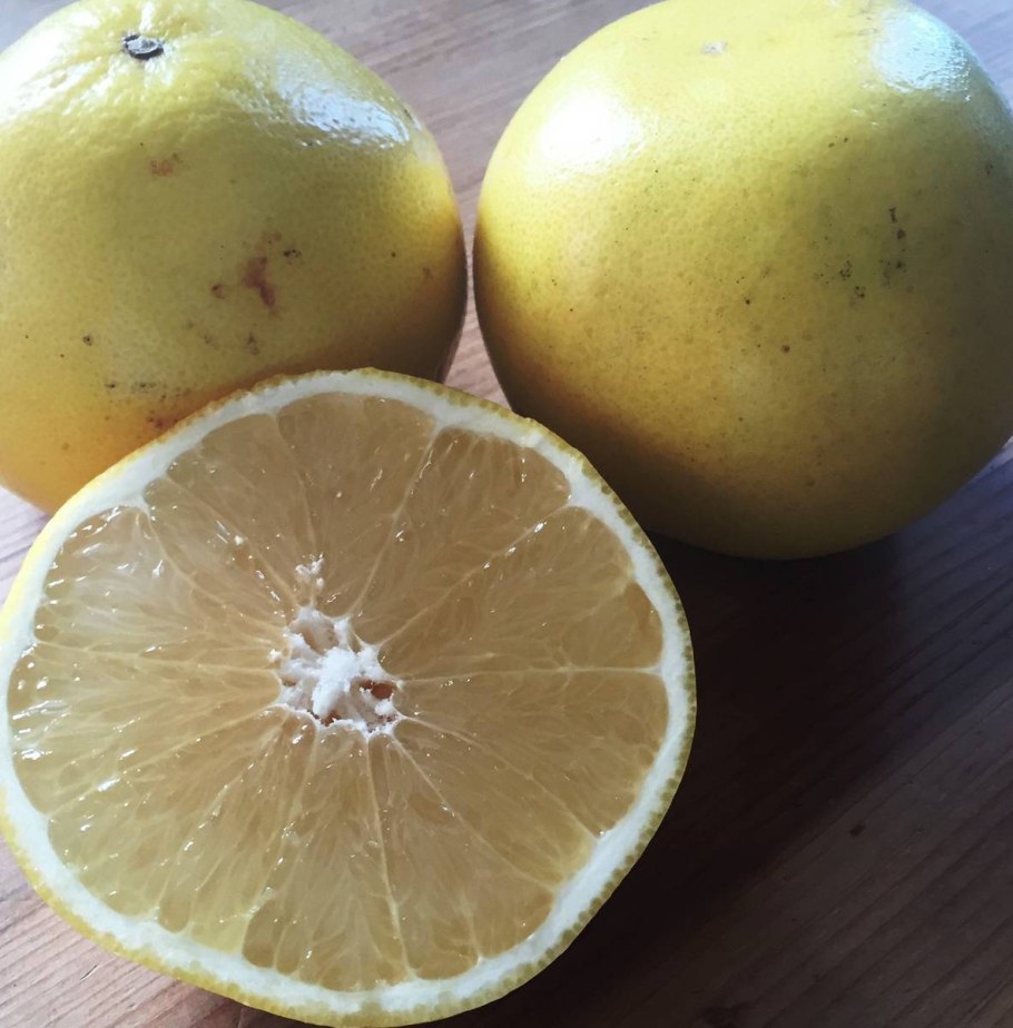 Помпельмус гроздевидный