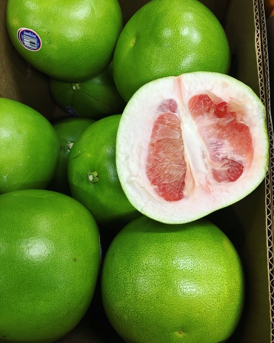 Цитрус помело