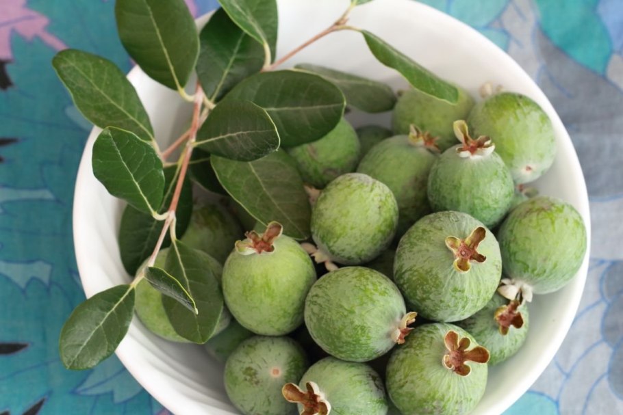 Плод фейхоа