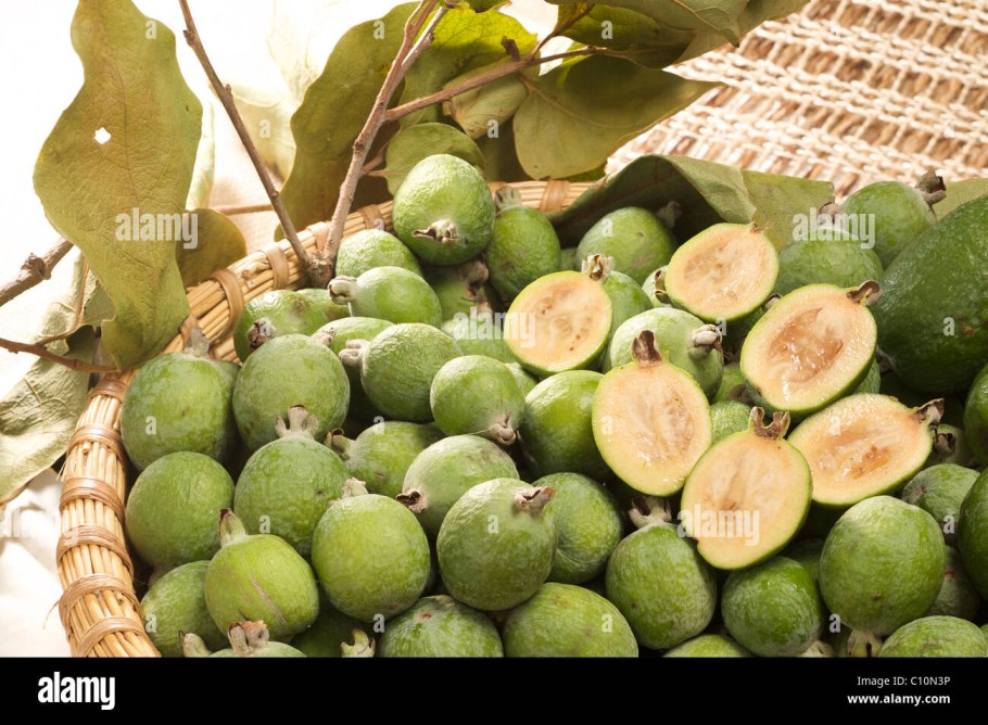 Сочинская ягода фейхоа