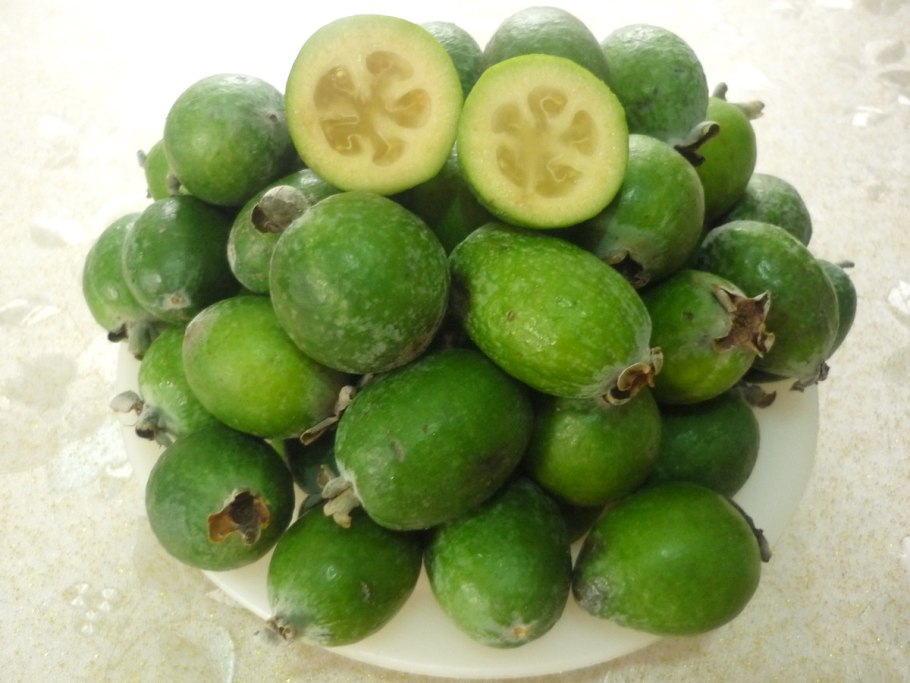 Южный плод фейхоа