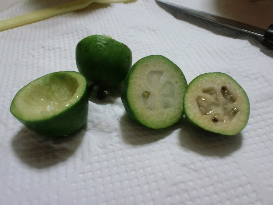 Косточки фейхоа