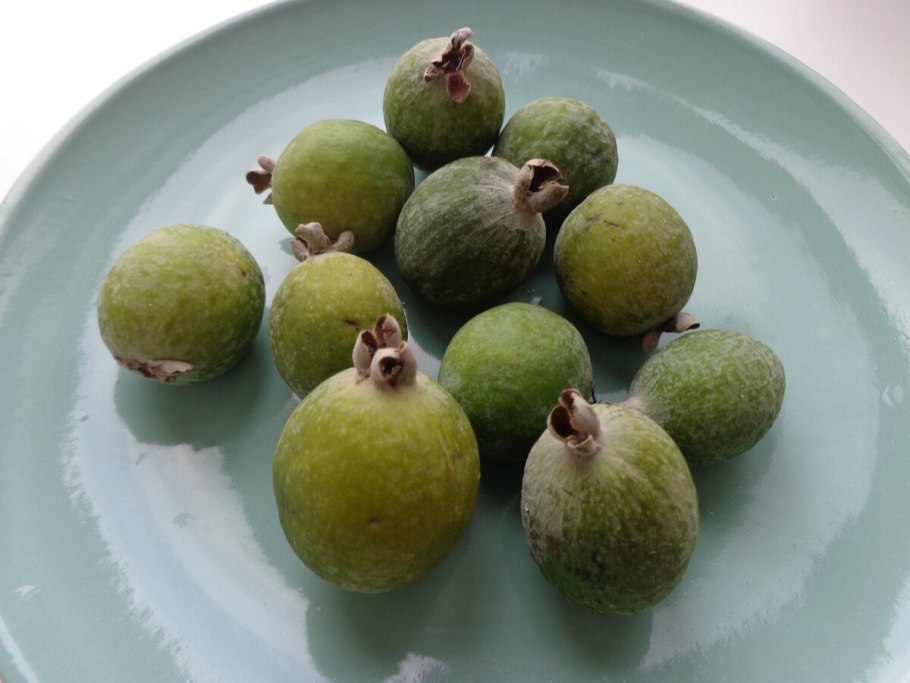 Фейхоа цитрус