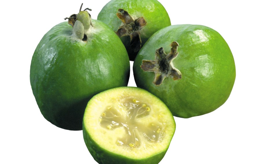 Фейхоа фрукт