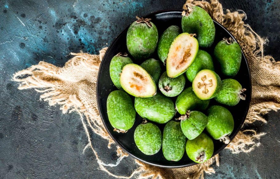 Фейхоа дерево листья