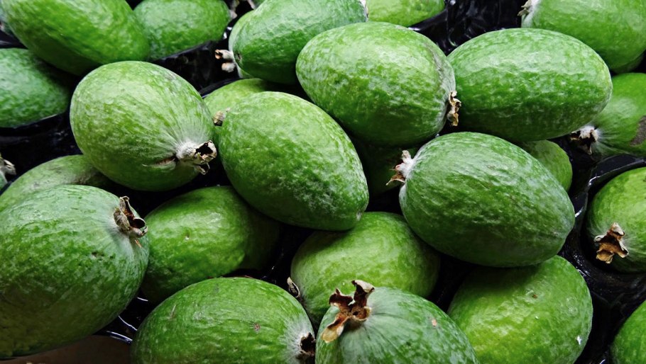 Южный фрукт фейхоа