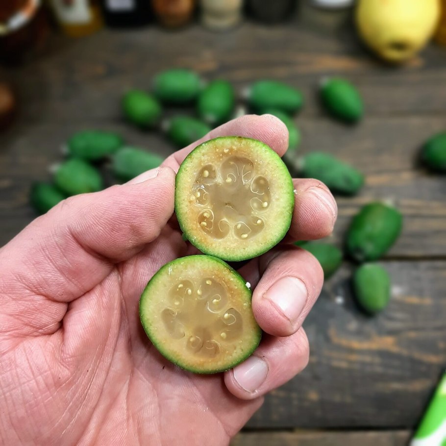 Зелёная ягода фейхоа