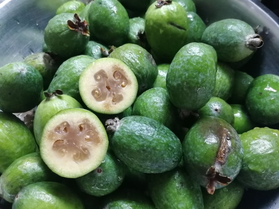 Зелёная ягода фейхоа