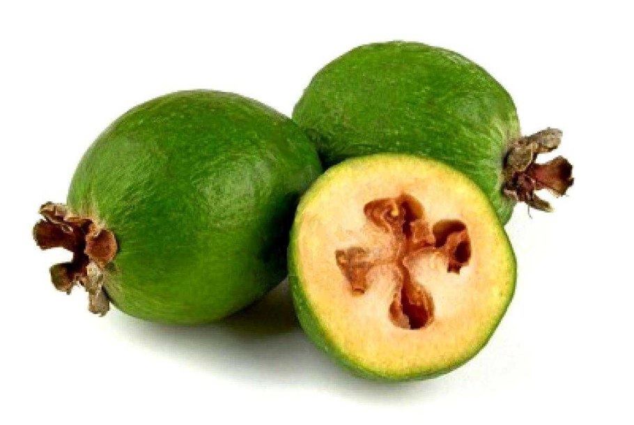 Гибрид фейхоа