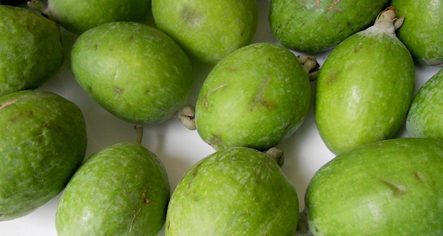 Фейхоа зеленый