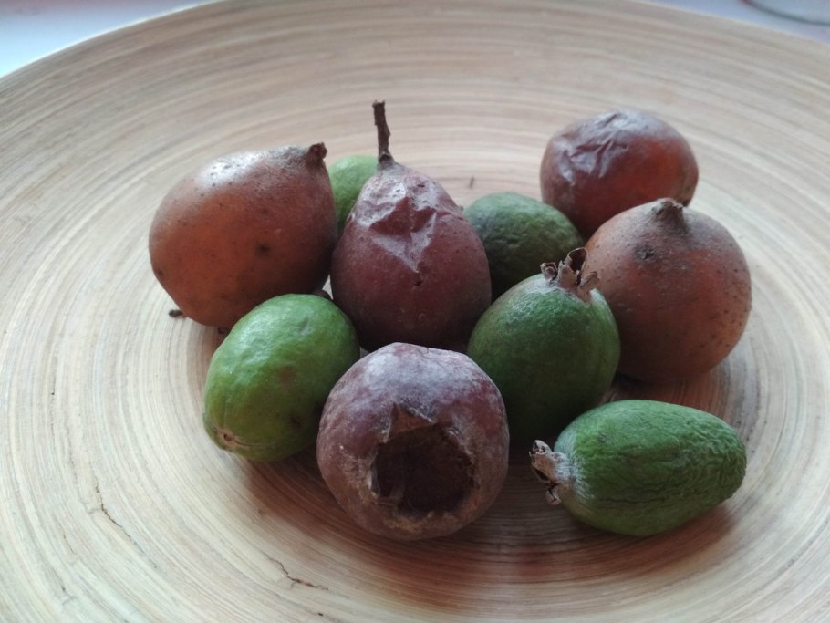 Фейхоа цитрус