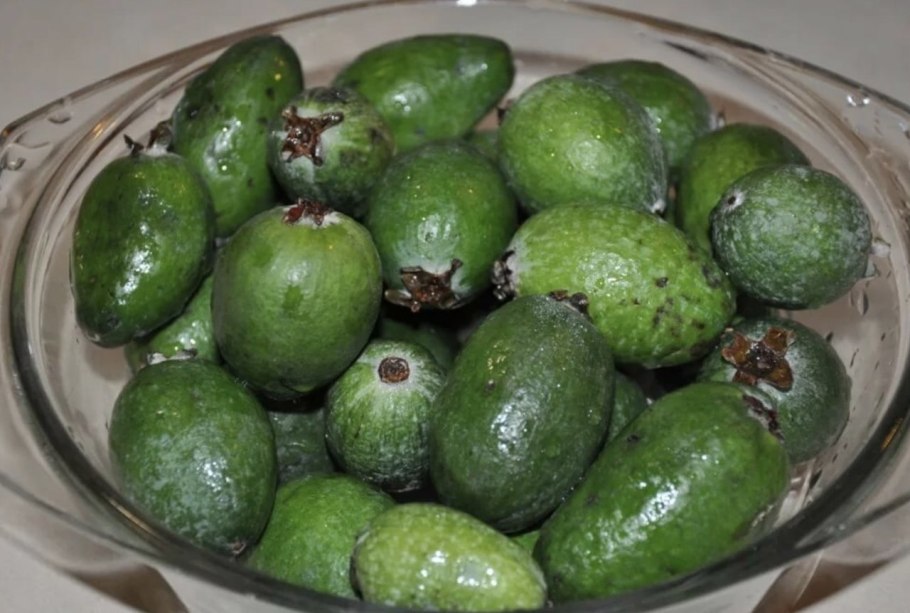 Fresh киви фейхоа