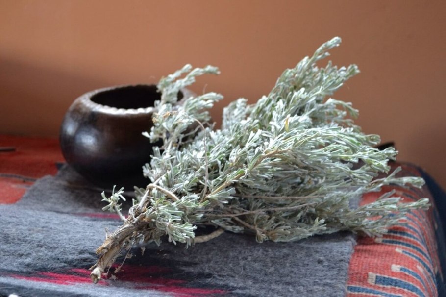 Полынь обыкновенная сухая