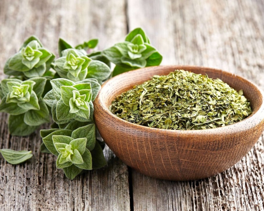 Орегано душица приправа