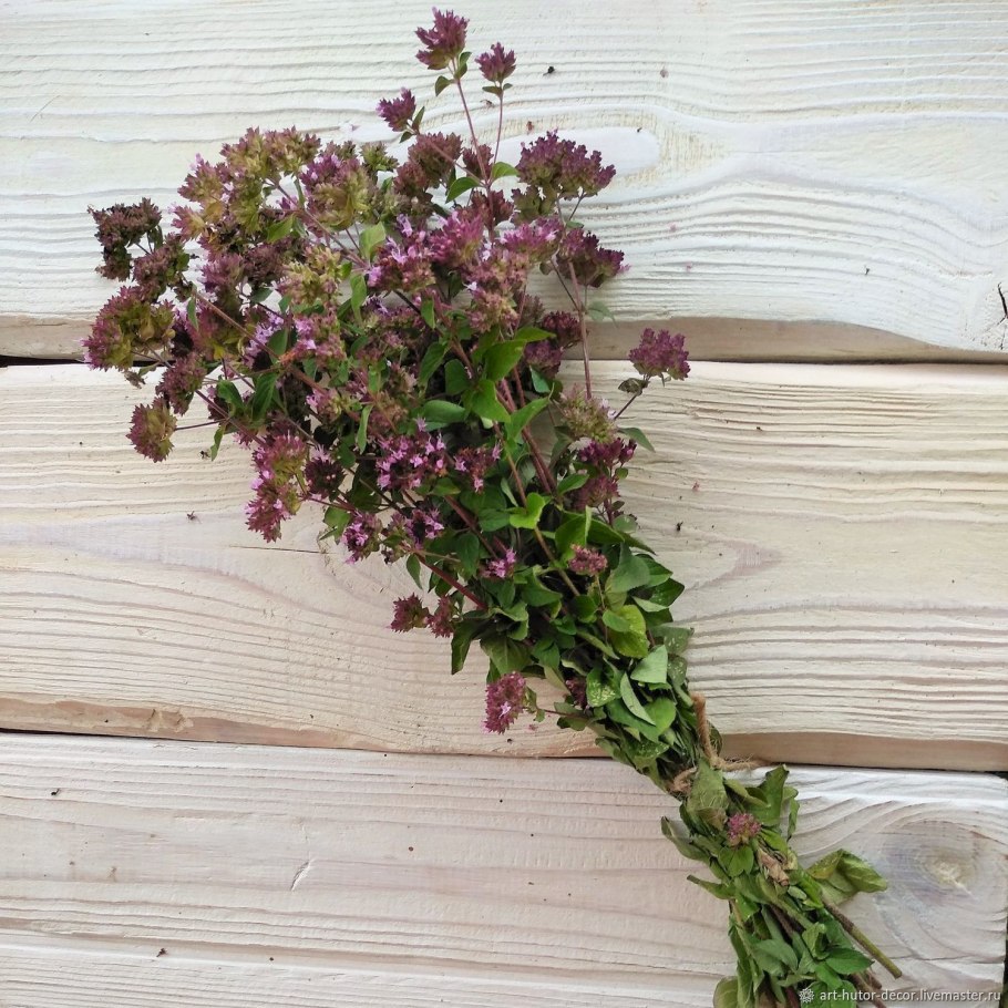 Душица тимьян майоран