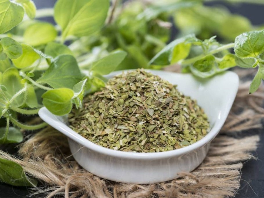 Майоран орегано