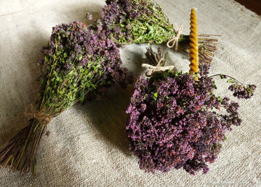 Полынь душица