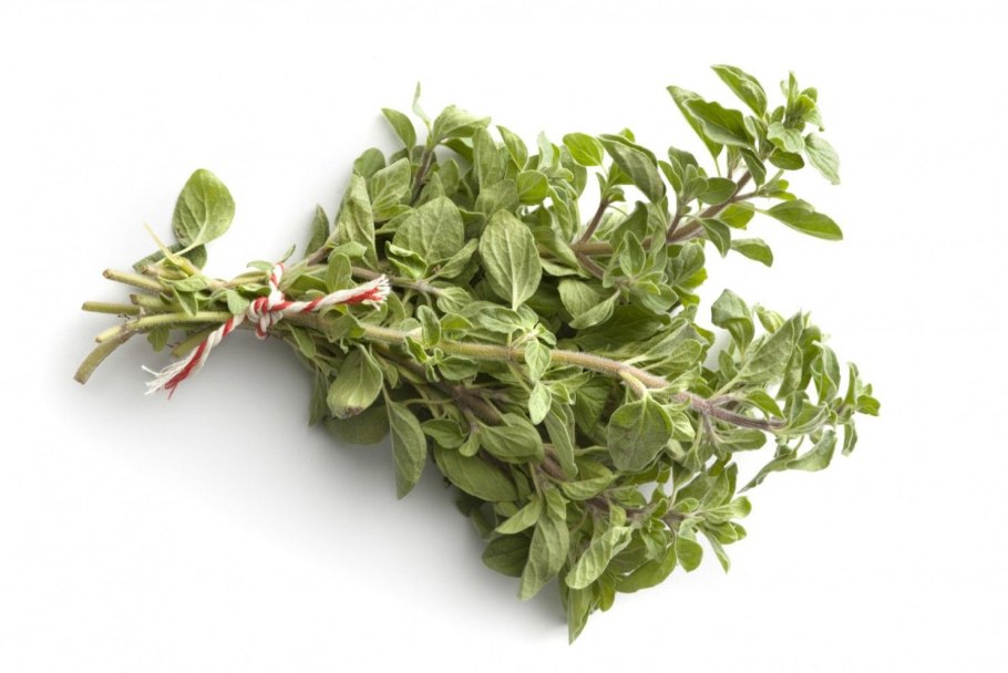 Розмарин эстрагон Любисток