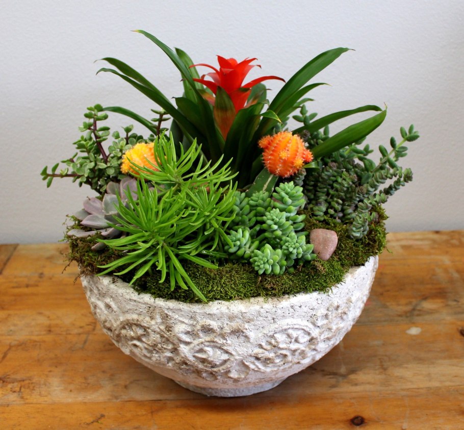 Горшечные композиции