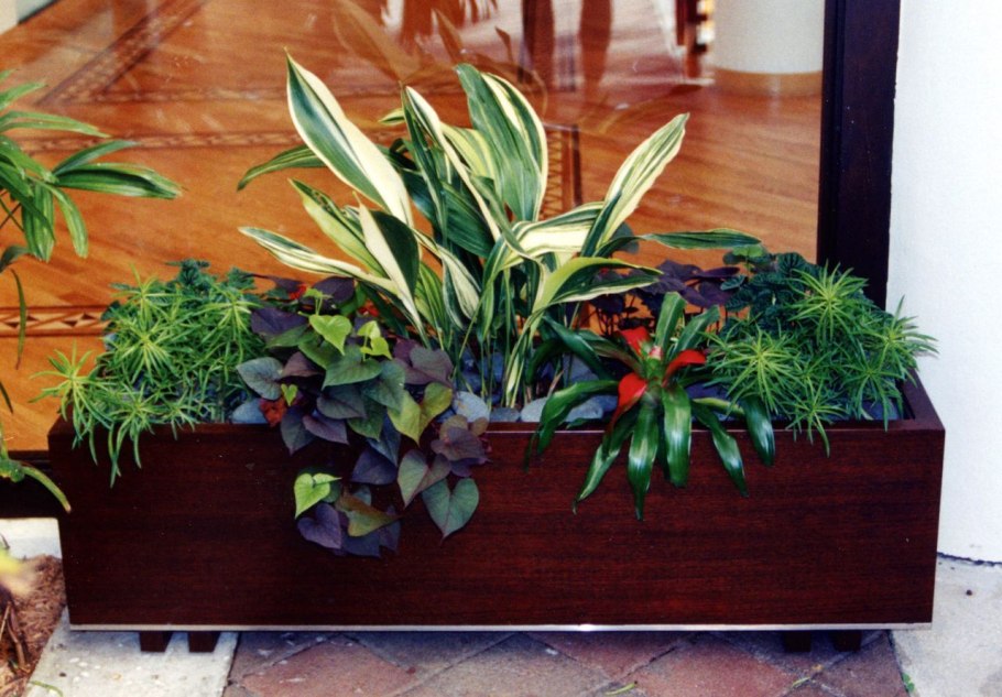 Суккулент Artificial Plants 283378