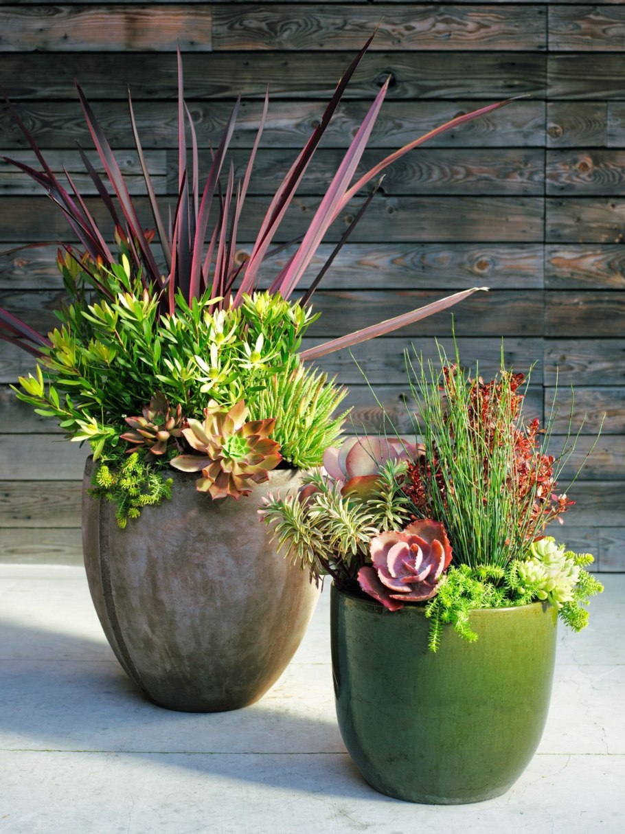 Композиции из горшечных цветов