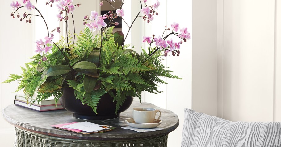 Композиция из горшечных растений