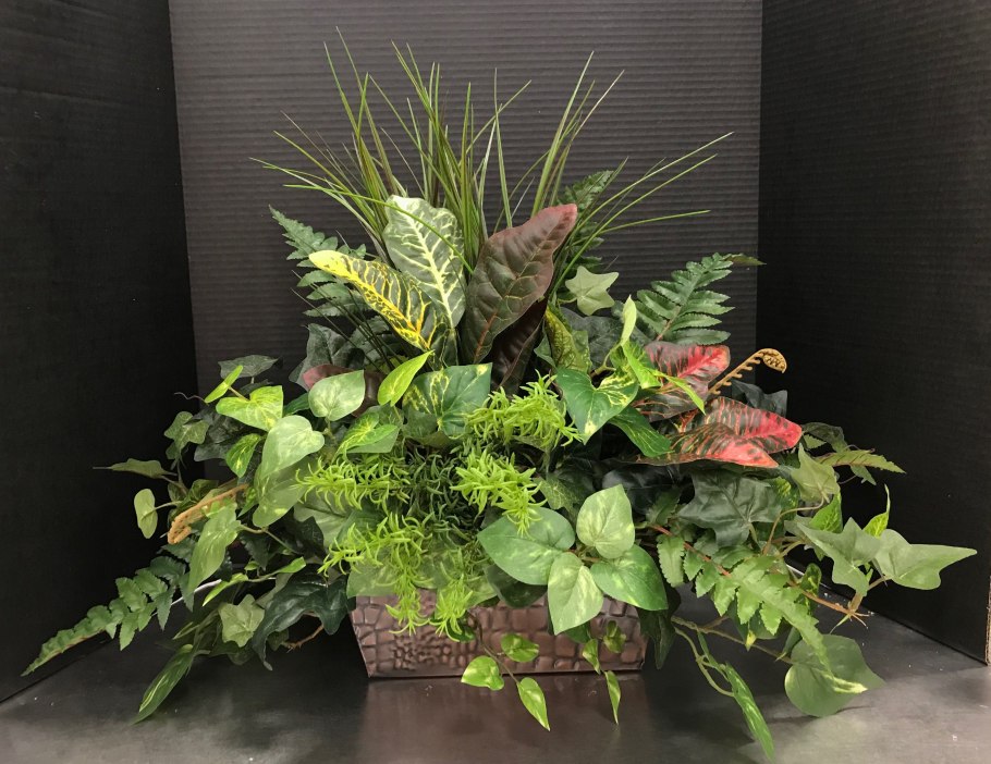 Горшечное Озеленение «садик из суккулентов»