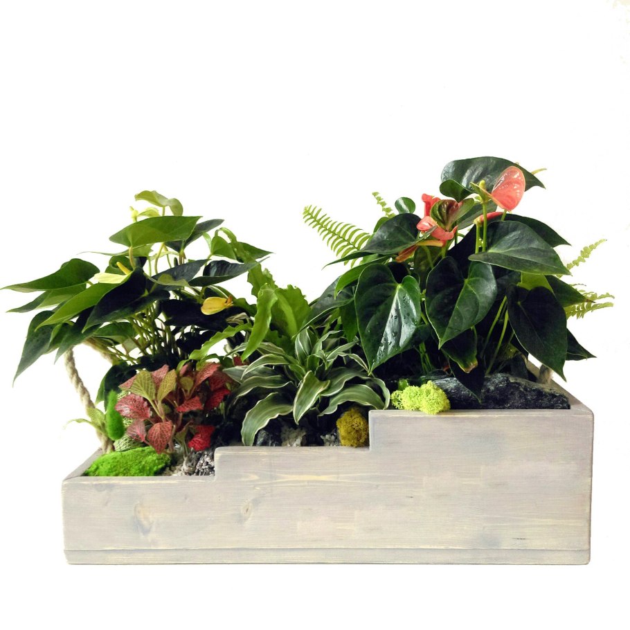 Аранжировки пот-э-Флер