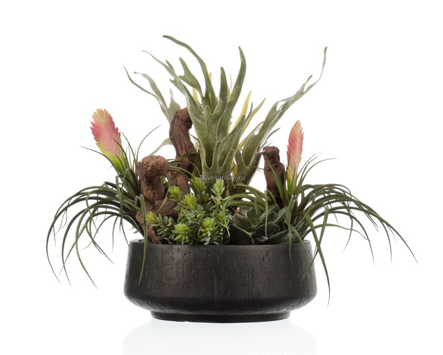 Горшечные композиции в кашпо