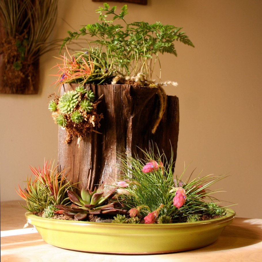 Букет из комнатных растений