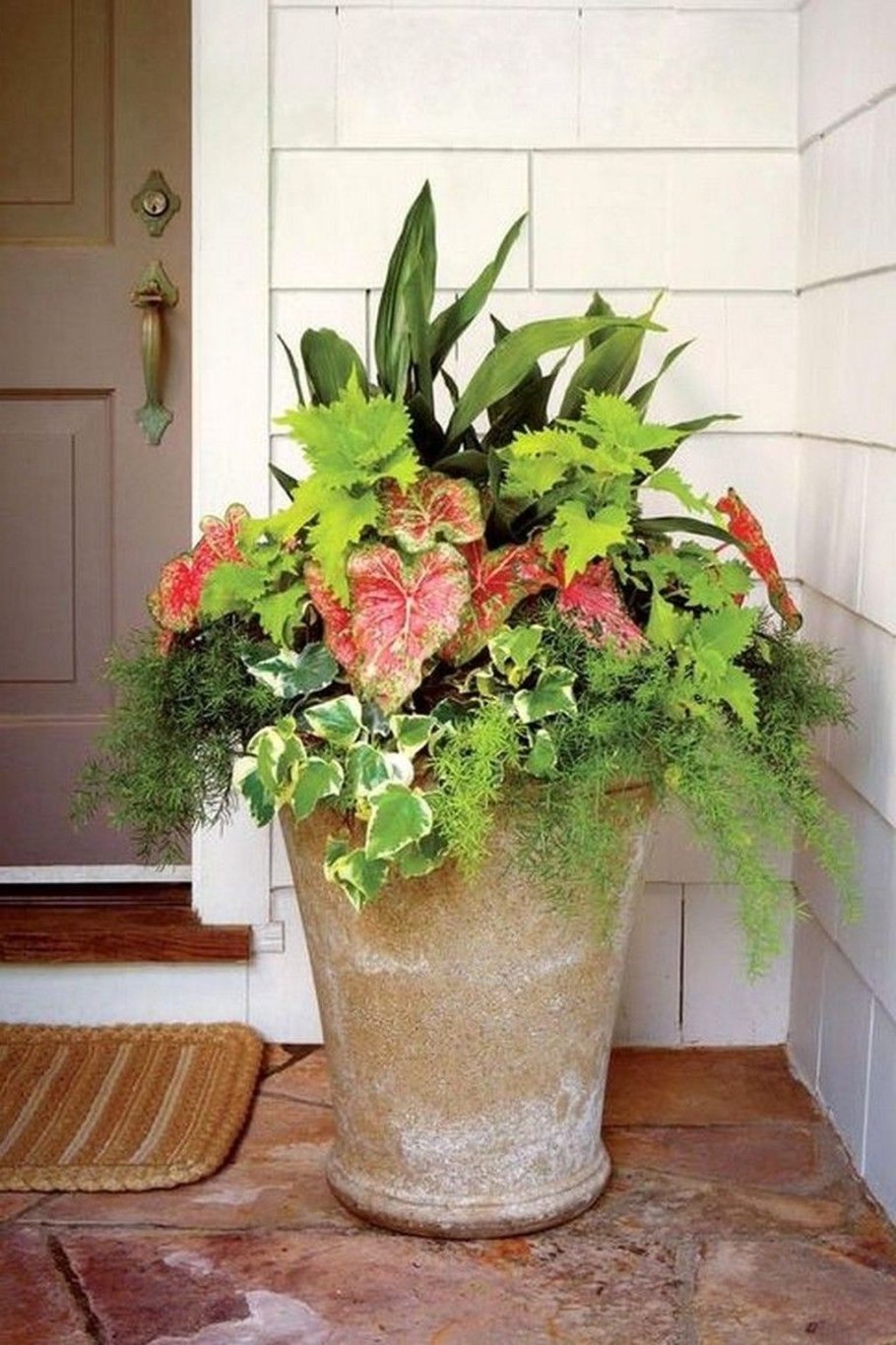 Композиции комнатных растений в одном горшке