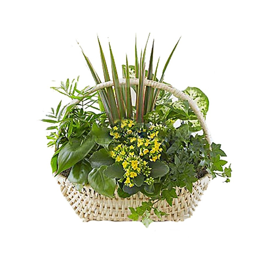 Композиция в корзинке