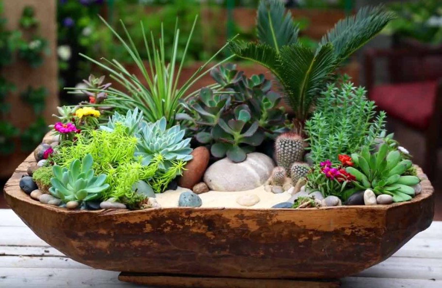 Цветочные композиции из комнатных цветов