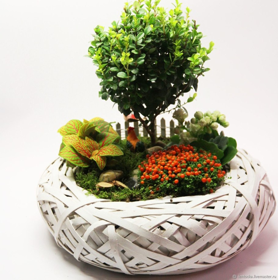 Мирт во флористике