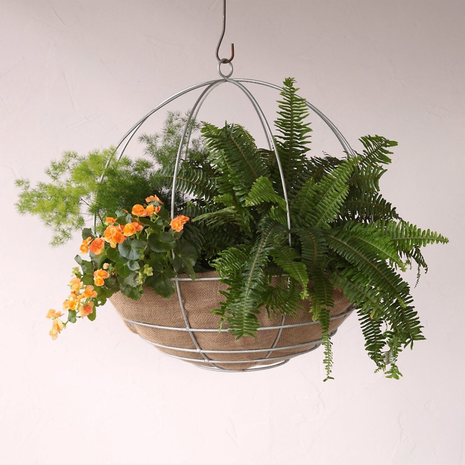 Цветочные горшечные композиции