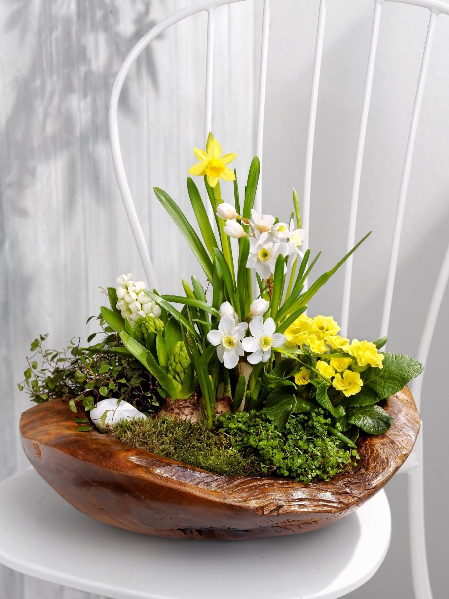 Цветы в горшках