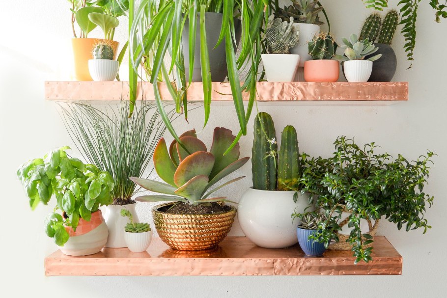 Композиция из растений