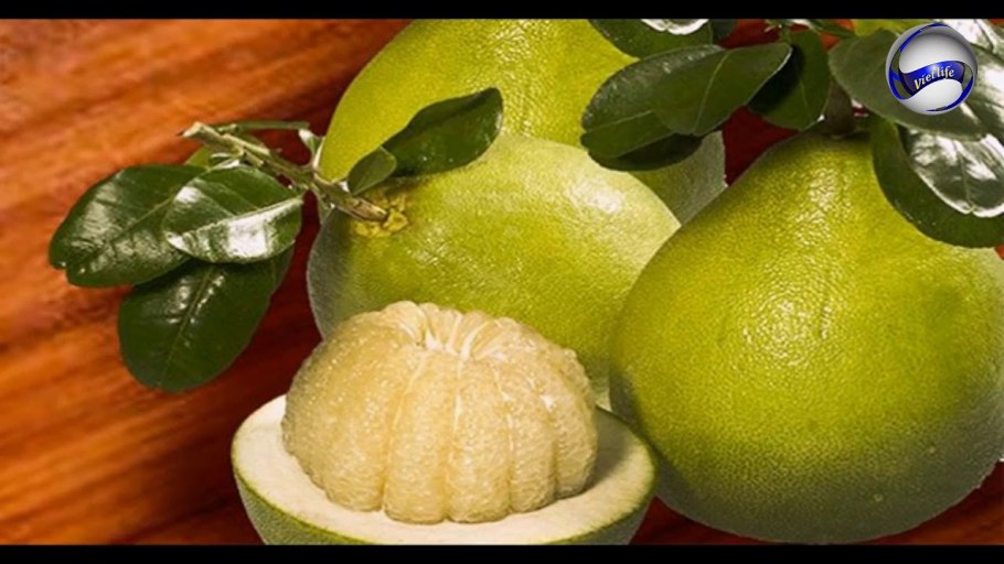 Помело саженец