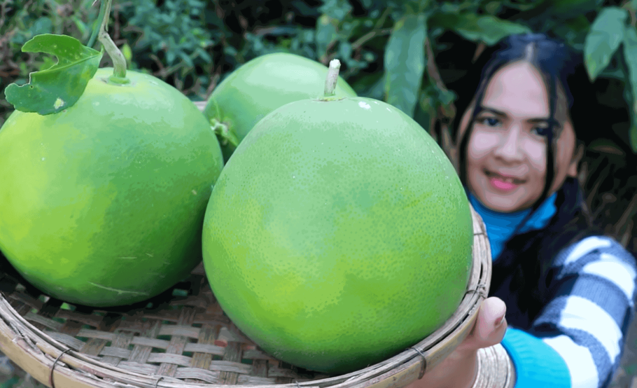 Помело это гибрид